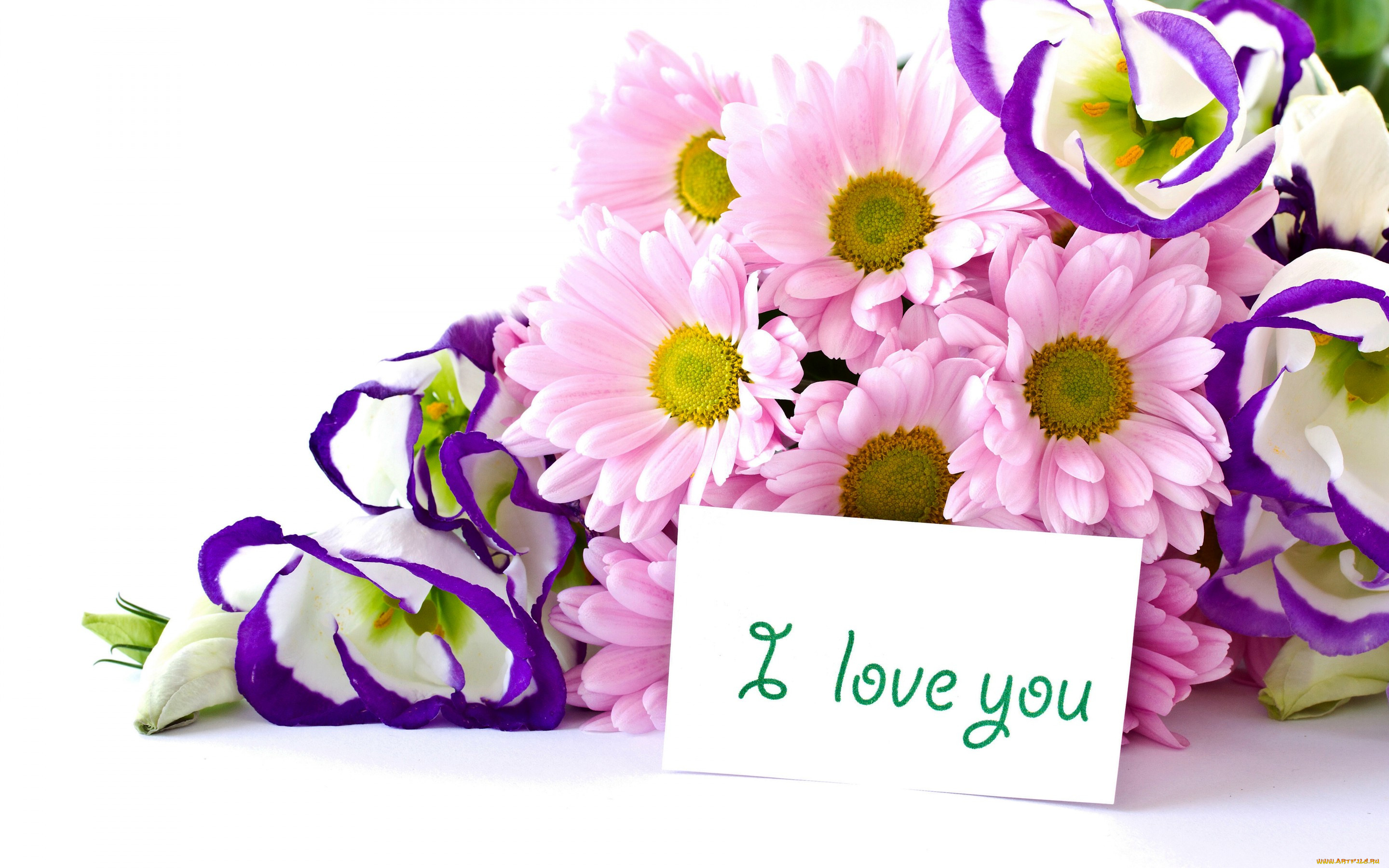 , ,  , , , , i, love, you